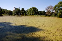 27B Belvedere Lake In Central Park Midpark 79 St.jpg